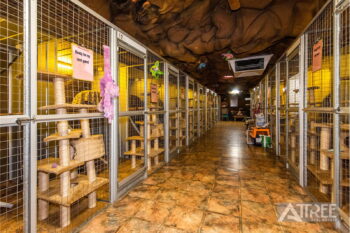 Listing image for 4 Crufts Way, Canning Vale  WA  6155