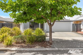 Listing image for 169 Gracefield Boulevard, Harrisdale  WA  6112