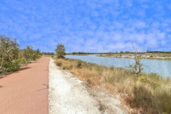 Listing image for 8 Langer Crescent, Champion Lakes  WA  6111