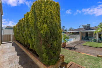 Listing image for 502 Morley Drive, Morley  WA  6062