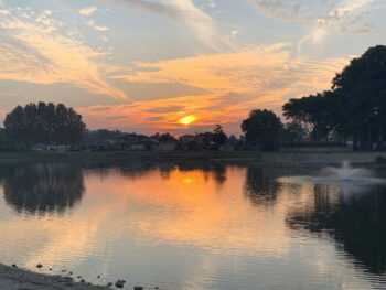 Listing image for 28 Roebuck Avenue, Canning Vale  WA  6155