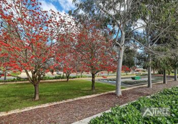 Listing image for 18 Saddle Lane, Harrisdale  WA  6112