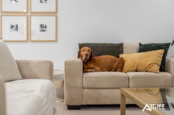 Listing image for 11 Holywell Street, Piara Waters  WA  6112