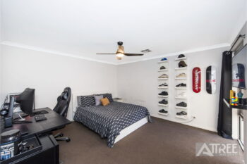 Listing image for 19 Brunonia Terrace, Harrisdale  WA  6112