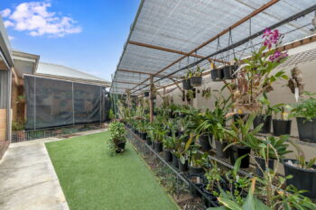 Listing image for 47 Brunonia Terrace, Harrisdale  WA  6112