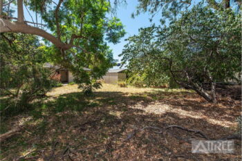 Listing image for 81 Eudoria Street, Gosnells  WA  6110