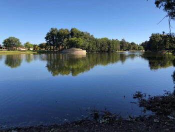 Listing image for 28 Roebuck Avenue, Canning Vale  WA  6155