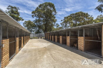 Listing image for 203 Cormorant Court, Southern River  WA  6110