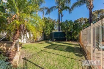 Listing image for 17 Pinewood Walk, Canning Vale  WA  6155