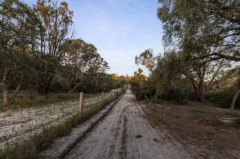 Listing image for 6 Born Road, Casuarina  WA  6167