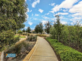 Listing image for 6 Stilt Lane, Harrisdale  WA  6112