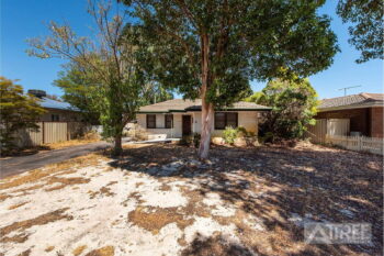 Listing image for 81 Eudoria Street, Gosnells  WA  6110