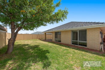 Listing image for 19 Kirkpatrick Court, Seville Grove  WA  6112