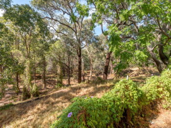 Listing image for 11/351 Hawtin Road, Forrestfield  WA  6058