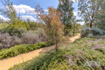 Listing image for 8 Grapestone Road, Piara Waters  WA  6112