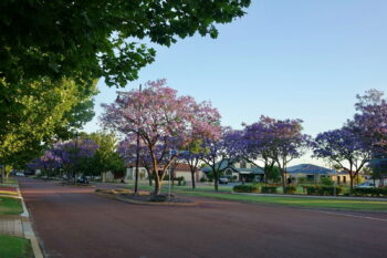 Listing image for 28 Roebuck Avenue, Canning Vale  WA  6155