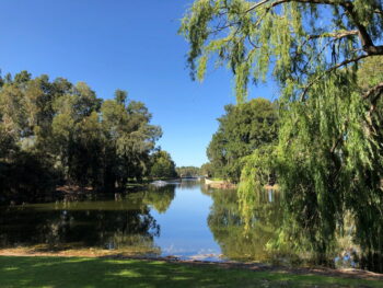 Listing image for 28 Roebuck Avenue, Canning Vale  WA  6155
