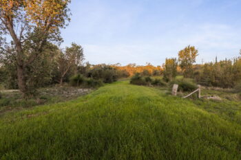 Listing image for 6 Born Road, Casuarina  WA  6167