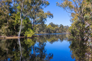 Listing image for 1/96 Cohn Street, Kewdale  WA  6105