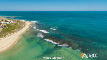 Listing image for 47 Baloo Crescent, Wannanup WA 6210