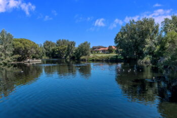 Listing image for 9 Pedalstone Drive, Southern River  WA  6110