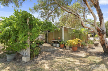 Listing image for 62 Thatcher Road, Byford  WA  6122