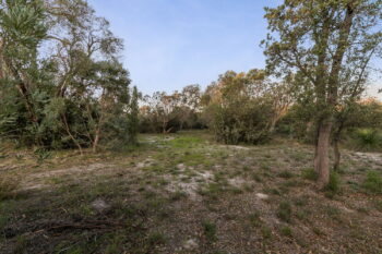 Listing image for 6 Born Road, Casuarina  WA  6167