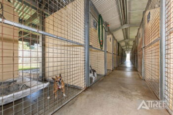 Listing image for 6 Crufts Way, Canning Vale  WA  6155